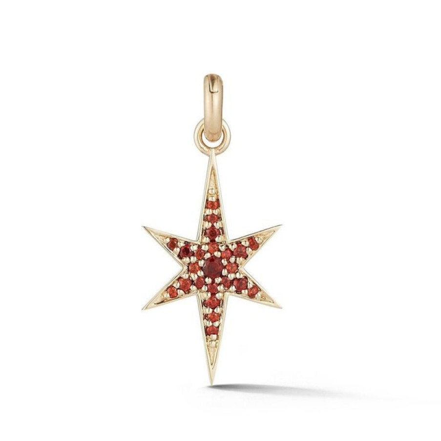 Jewelry STORROW | 14K Gold & Garnet Stella Charm